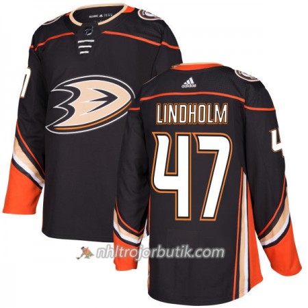 Män Ishockey Anaheim Ducks Tröja Hampus Lindholm 47 Adidas 2017-2018 Svart Authentic